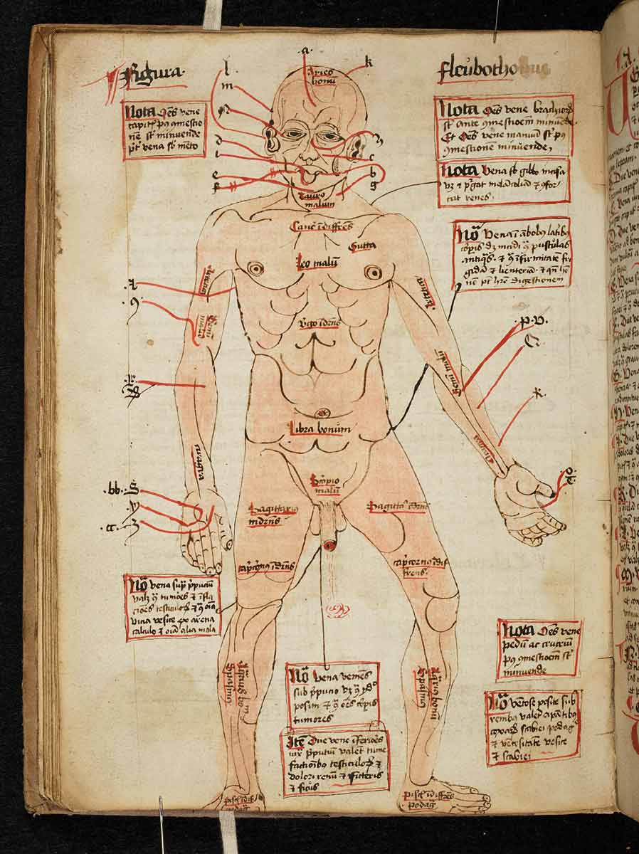 art science bloodletting manuscript