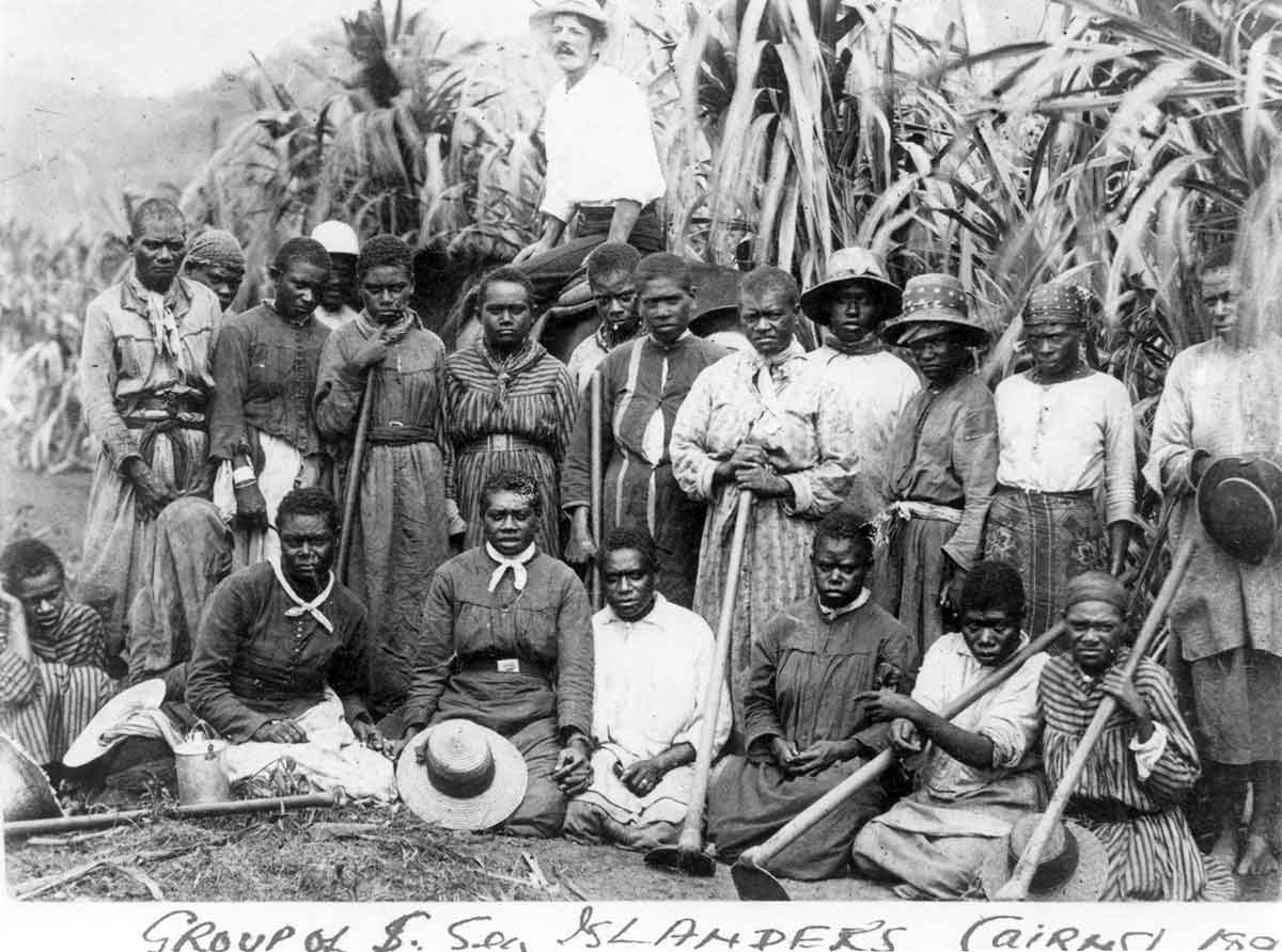 colonial australia sugar cane.jpg