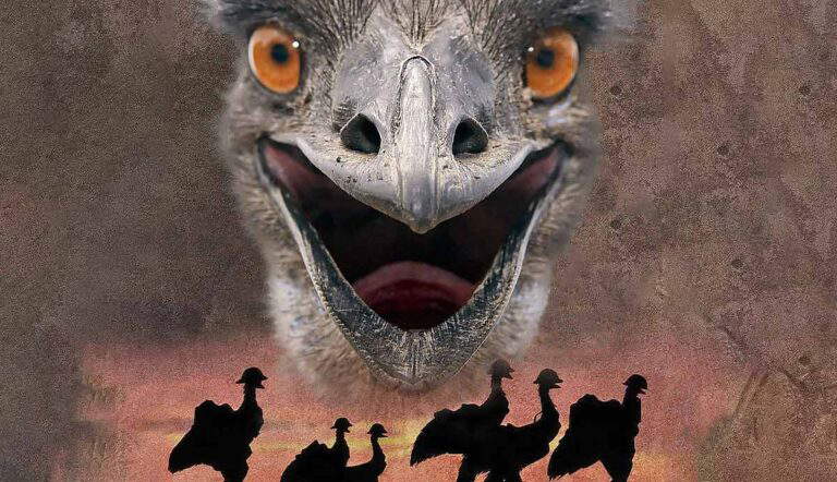 great emu war