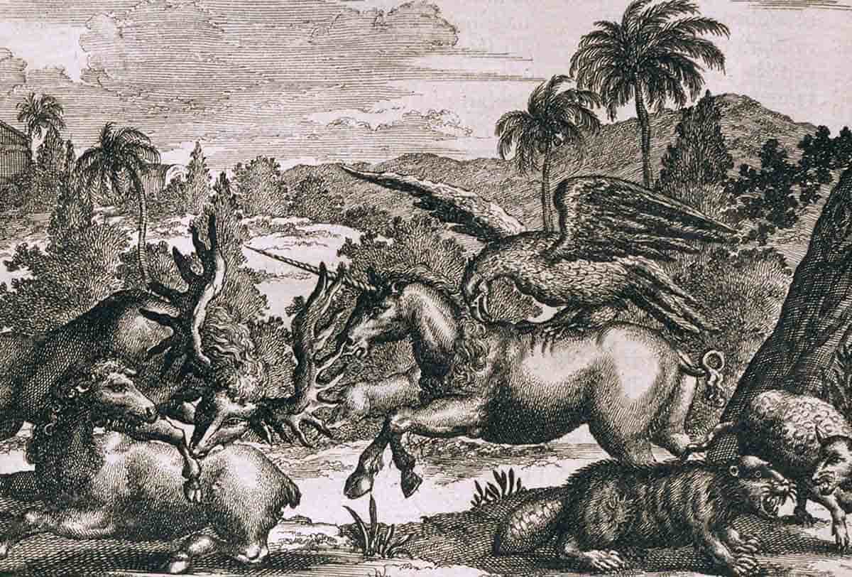 unicorn animals america