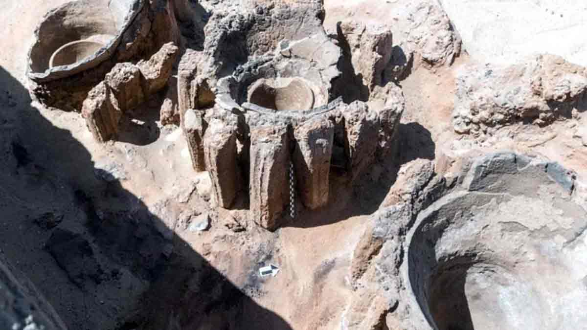 vessels abydos brewery