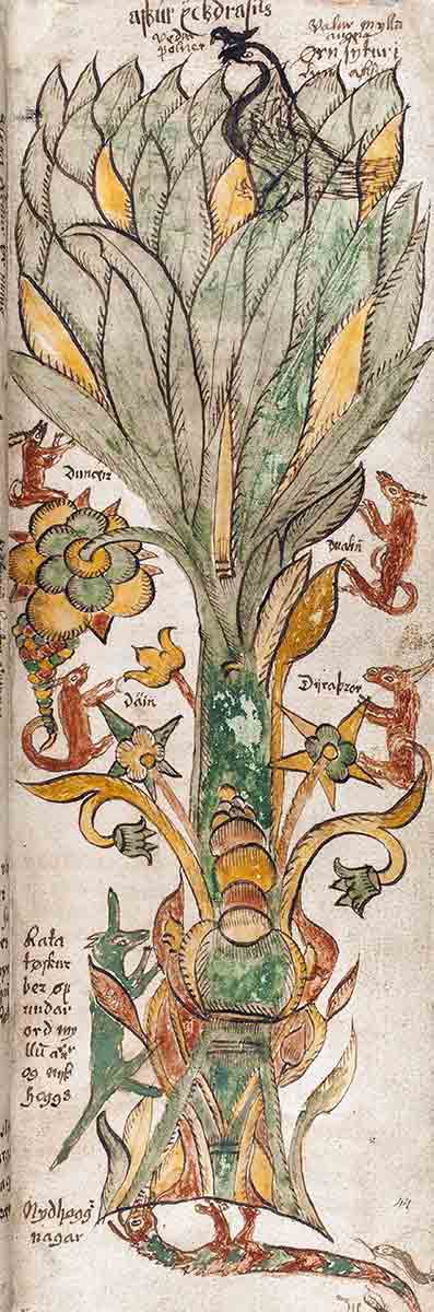 yggdrasil am738